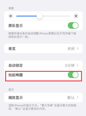 登封苹果授权维修站分享iPhone轻点无法唤醒怎么办