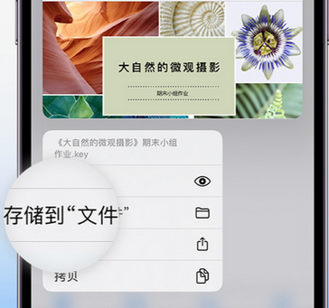 登封apple维修中心分享iPhone文件应用中存储和找到下载文件