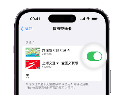 登封apple维修点分享iPhone上更换Apple Pay快捷交通卡手绘卡面 