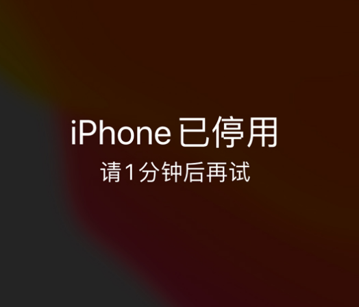 登封苹果手机维修分享:iPhone 显示“不可用”或“已停用”怎么办？还能保留数据吗？ 