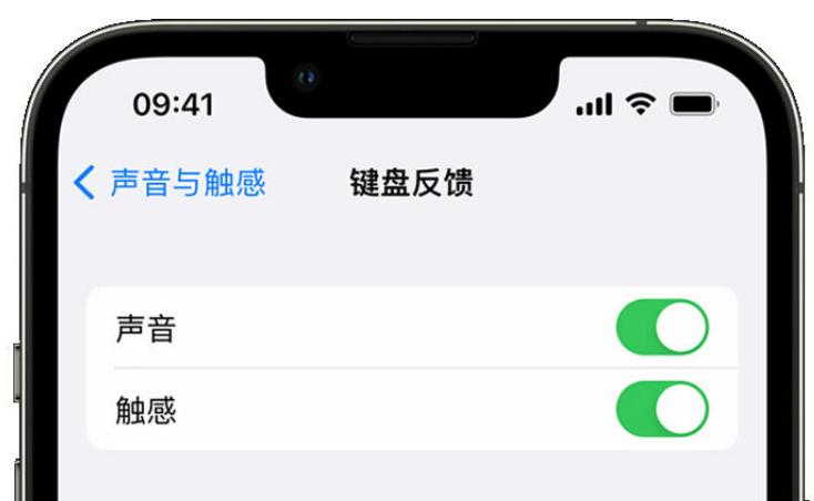 登封苹果手机维修分享iPhone 14触感键盘使用方法 