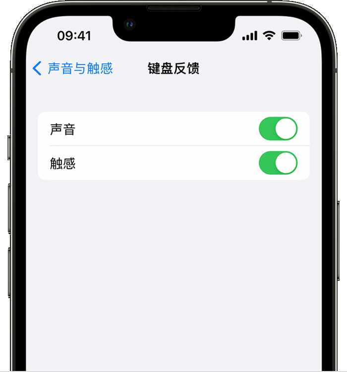 登封苹果14维修店分享如何在 iPhone 14 机型中使用触感键盘 