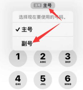 登封苹果14维修店分享iPhone 14 Pro Max使用副卡打电话的方法 