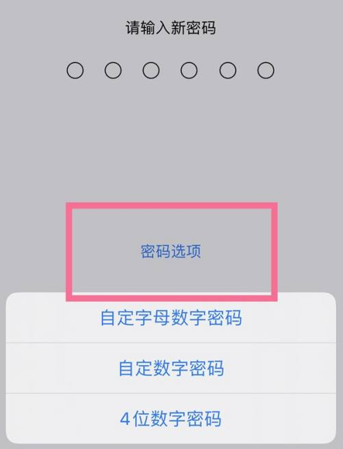 登封苹果14维修分享iPhone 14plus设置密码的方法 