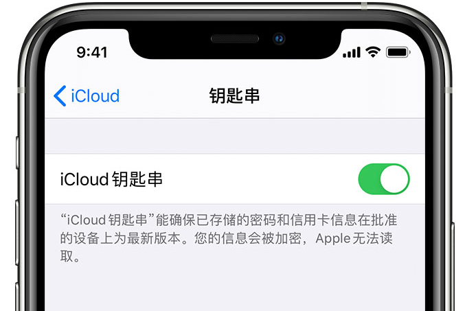 登封苹果手机维修分享在 iPhone 上开启 iCloud 钥匙串之后会储存哪些信息 