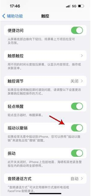 登封苹果手机维修分享iPhone手机如何设置摇一摇删除文字 